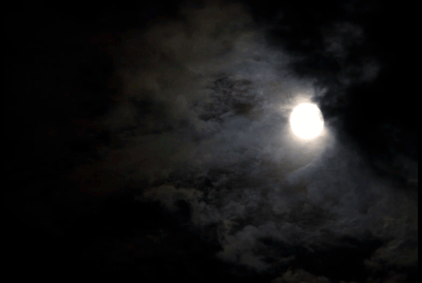 那是一个冬夜,月黑风高