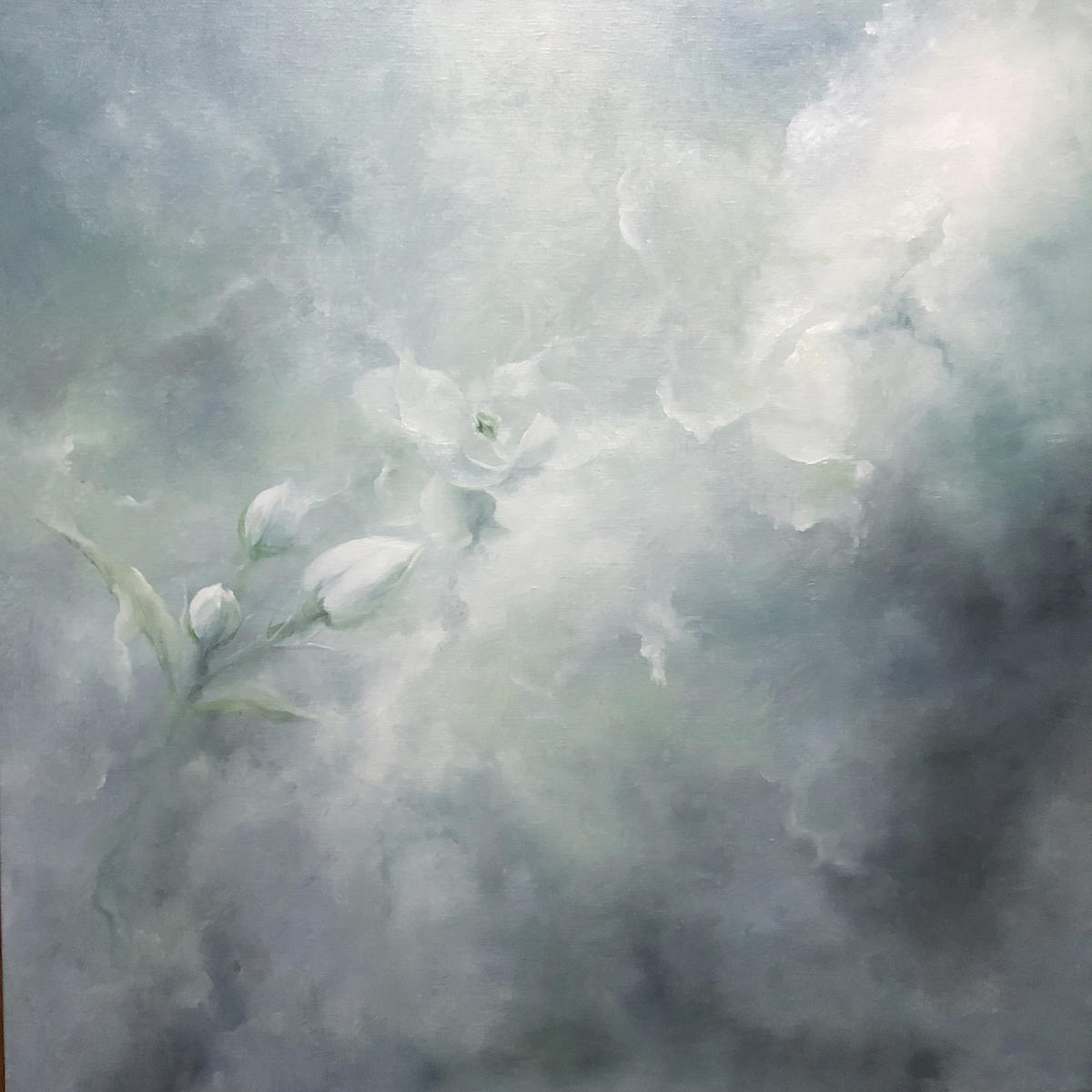 油画·杨惠婷 | 独世的花草 永恒的答案