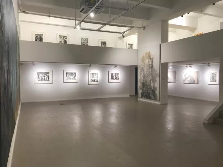 “凤凰·威狮国际艺术中心”以苏新平福建首展亮相,聚焦前沿当代艺术