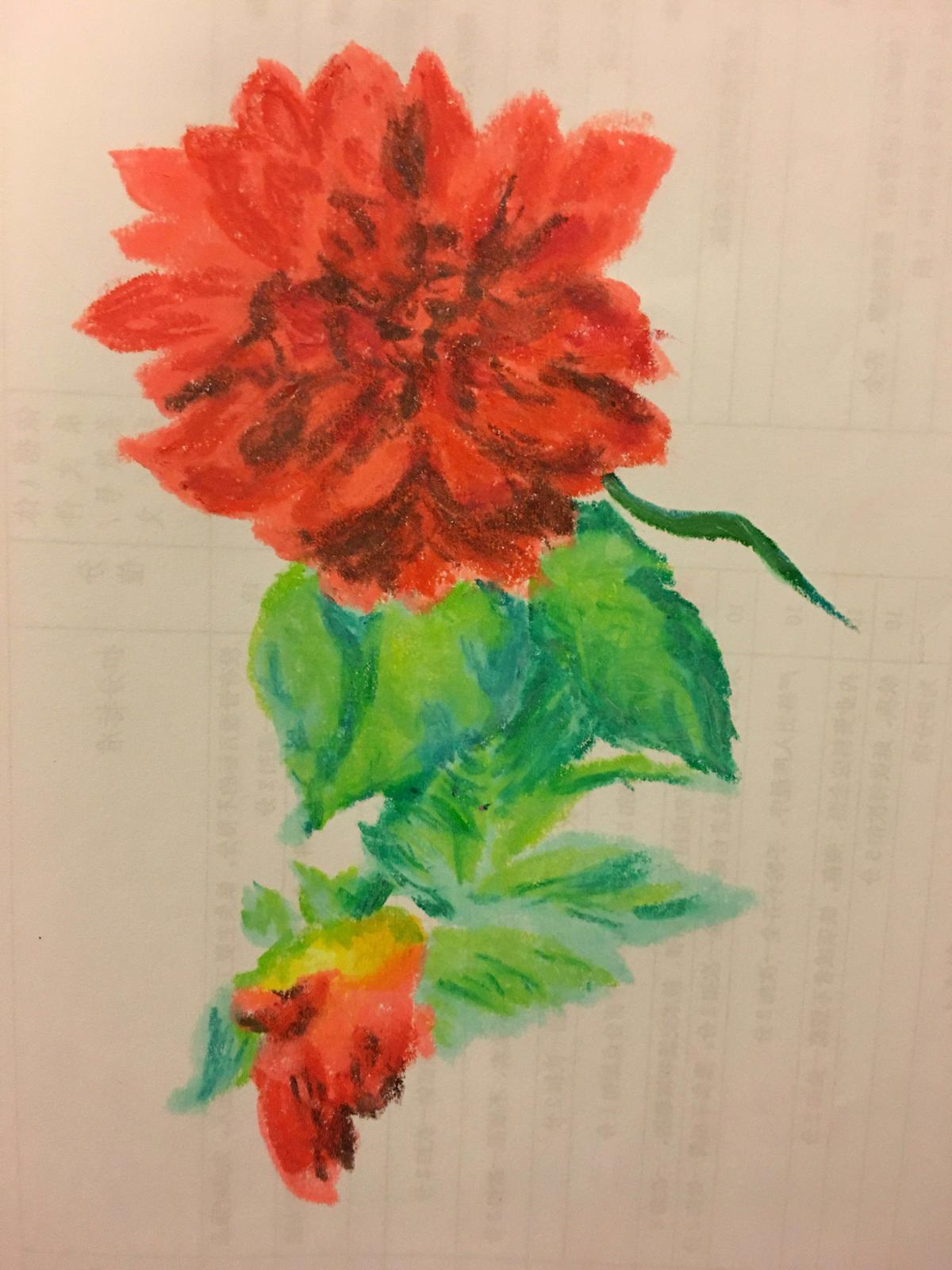 一年来我的花草画法探索