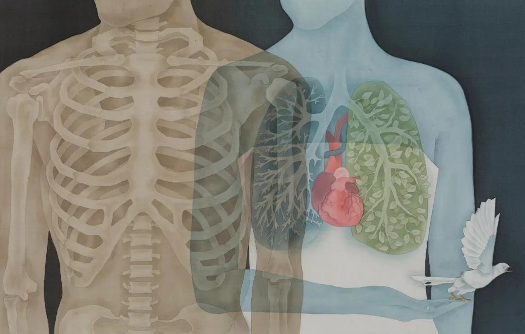 武一杉 个人简介与作品