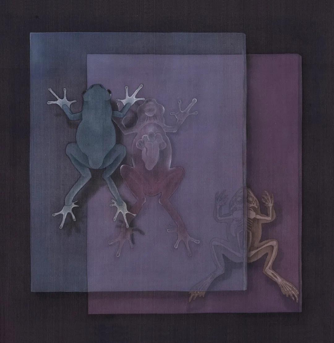 武一杉 个人简介与作品