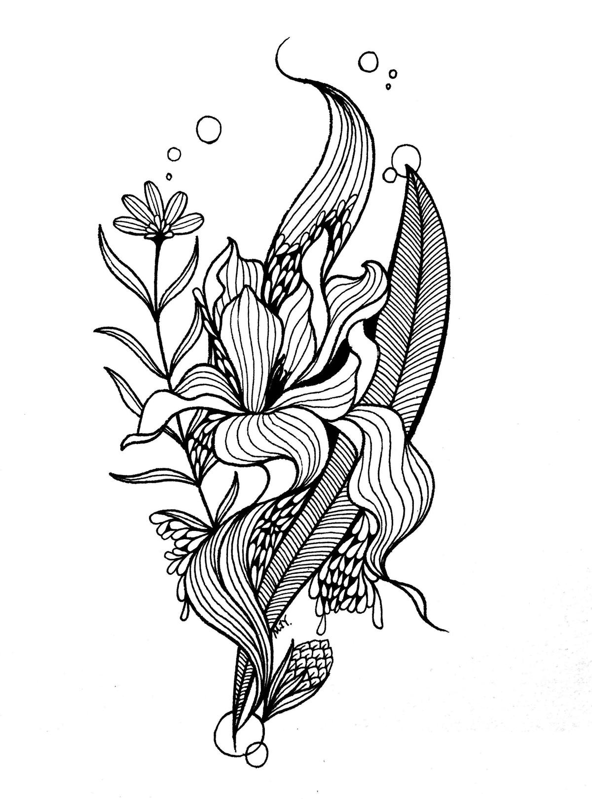 近期线描手绘作品