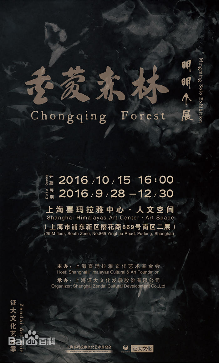 重庆森林——张明明个展