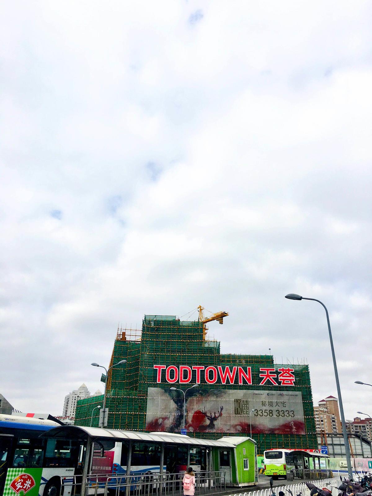 上海莘莊Todtown