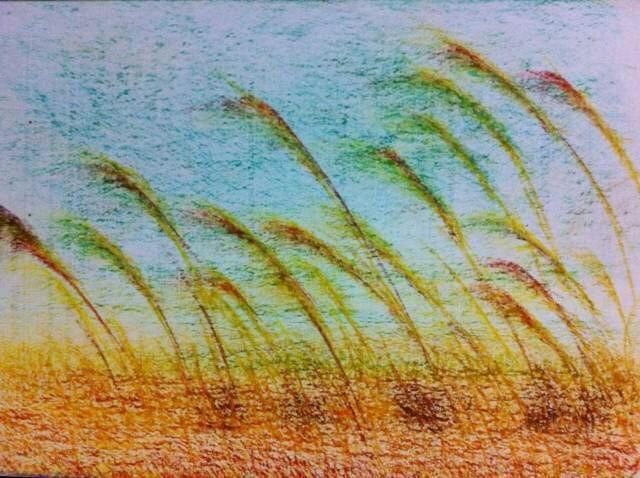 业余画画 | 他是京东的项目经理，却坚持一日一画