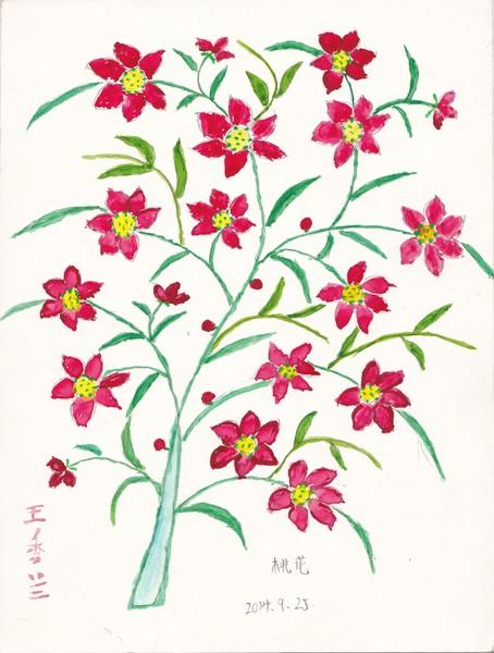 业余画画 | 王秀兰的花果树世界