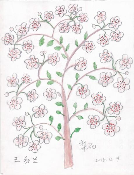 业余画画 | 王秀兰的花果树世界