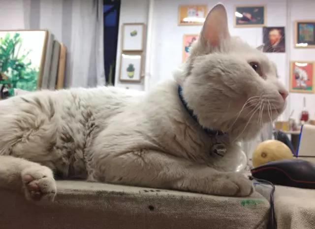 张燕：你的幸福是什么模样？