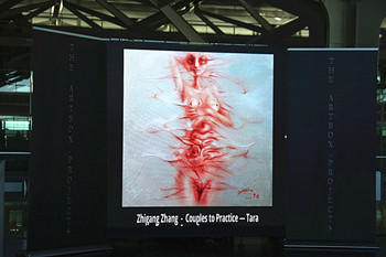 张智罡作品在瑞士巴塞尔艺术周