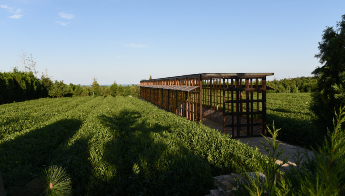 加油朋友，一起杨帆，2022船大地艺术节。