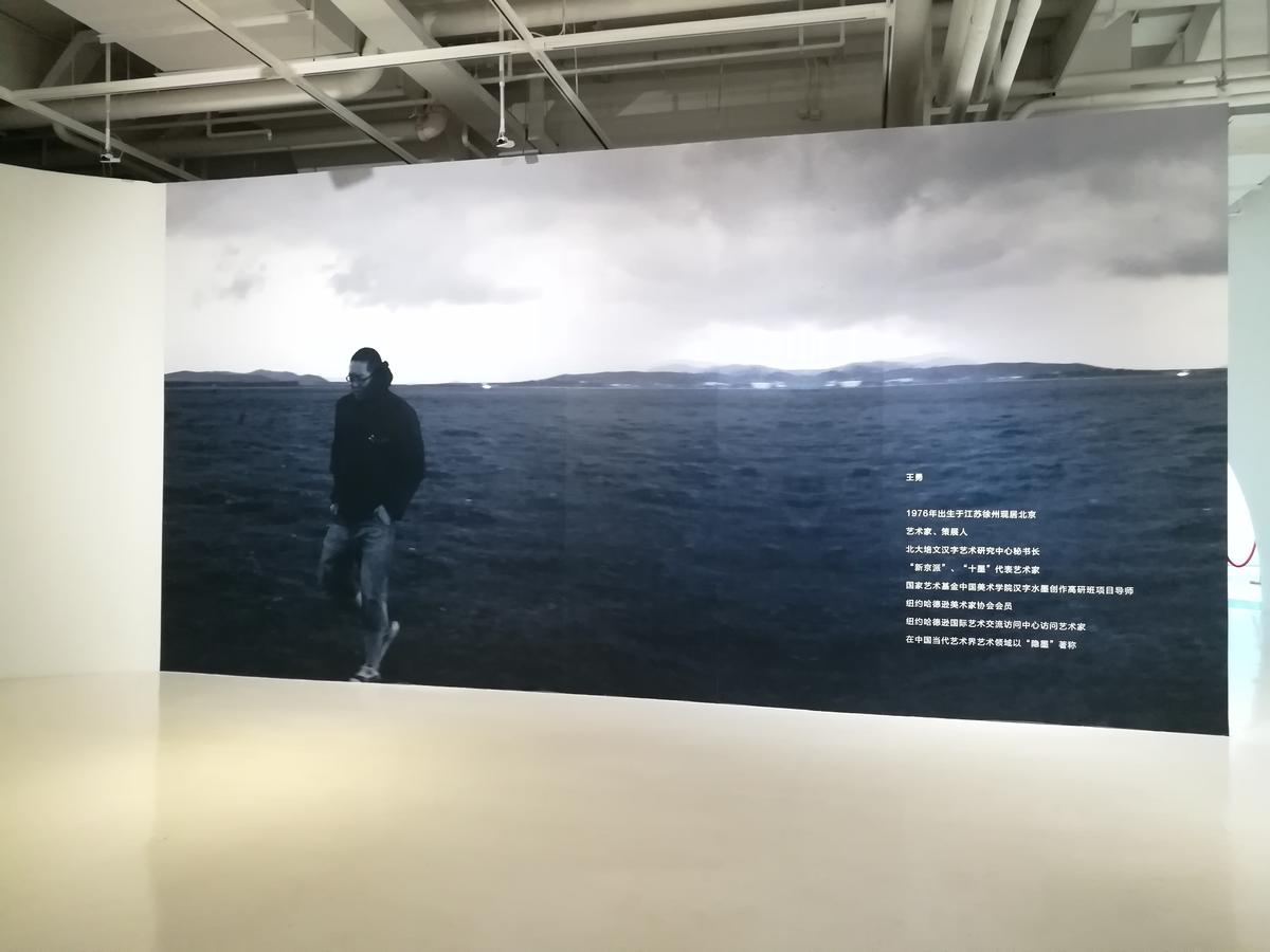 隐墨——王勇个展元月十九日北京山水美术馆开幕