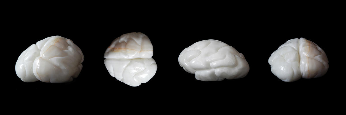 何汶玦作品《人脑的进化》